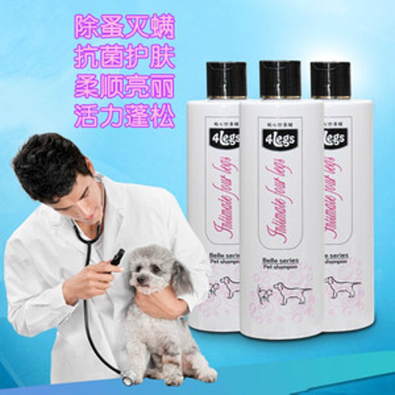 温馨宠物之家：如何选择合适的宠物窝垫